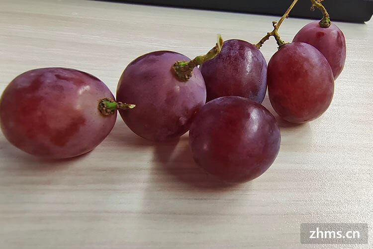 红葡萄品种可以分为几种(红葡萄品种可以酿白葡萄酒吗)