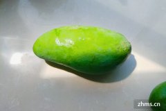 什么时候的芒果最甜(芒果的特点)