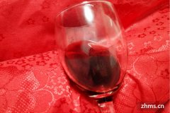 什么葡萄酿酒最好吃(什么葡萄酿酒最好还多)