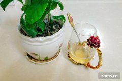 啤酒放保鲜可以吗(啤酒放保鲜可以放多久会凉)