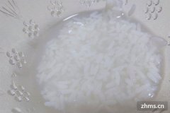 酒酿是米酒吗?(酒酿就是酒糟吗)