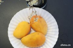 什么时候的芒果最好(芒果的特点)