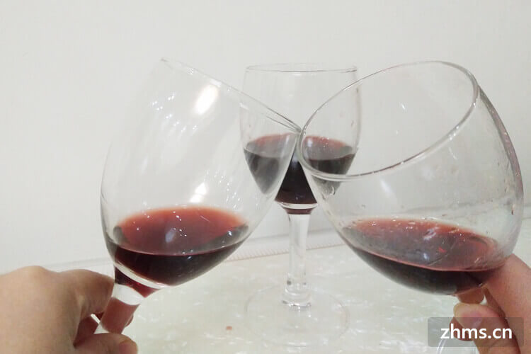 红酒杯有哪些杯型(5种红酒杯类型图解)