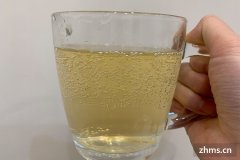 莲雾能泡酒吗(莲雾果泡酒可以放枸杞吗)