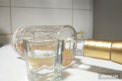 中国名酒有哪些牌子 百度百科(中国名酒有哪些酒)
