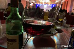 葡萄酒和什么兑一起好喝(葡萄酒配什么比较好喝)