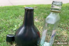 烧白酒设备买一套多少钱(烧酒设备多少钱一台1000斤以上)