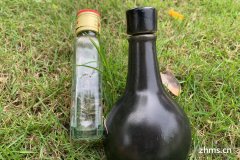 中国黄酒种类介绍(列举中国黄酒的分类标准)